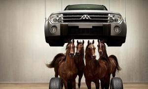 Как рассчитать транспортный налог по лошадиным силам Сколько лошадей не облагается транспортным налогом