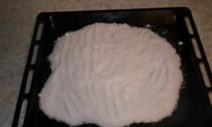 Курица на соли в духовке: рецепт приготовления с фото