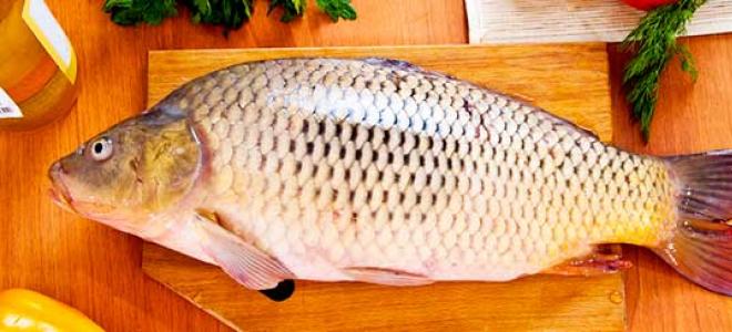 Как правильно готовить рыбу при воспалении поджелудочной железы Питание при острой форме болезни