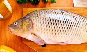 Как правильно готовить рыбу при воспалении поджелудочной железы Питание при острой форме болезни